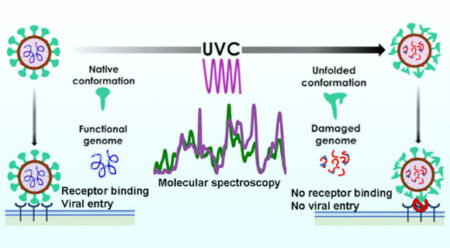Uv Light Found To Inactivate Coronavirus Particles, New Study Shows