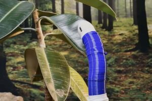 Witness The Growth Of This Plant Inspired Robot As It Reaches
