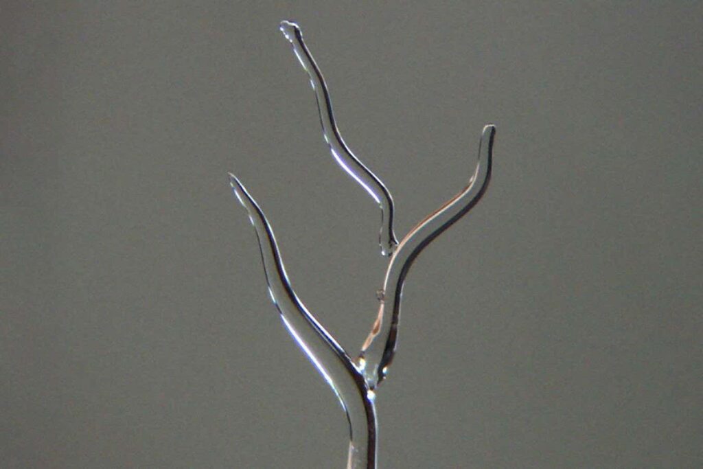 3D Printed Ice Blood Vessels Could Enhance the Quality of Artificial Organs 3d Printed Ice Blood Vessels Could Enhance The Quality Of