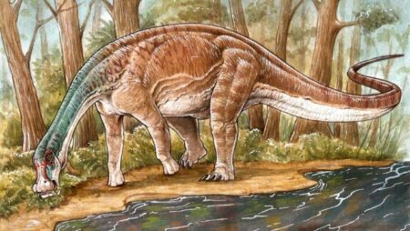 Argentina Unearths New Species Of Titanosaurus From Cretaceous Era
