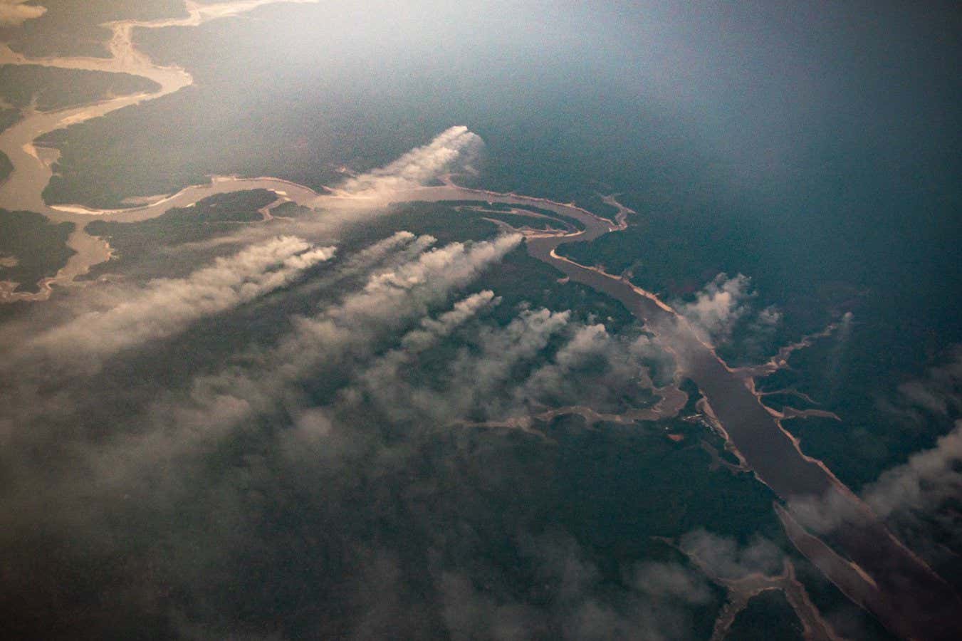 By 2050, Half Of The Amazon Rainforest May Be Reaching