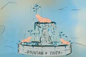 Can Naked Mole Rats Hold The Secret To Their Youthful