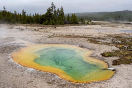 Early Earth conditions could have supported the production of essential life chemicals Early Earth Conditions Could Have Supported The Production Of Essential