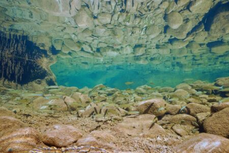 Experience An Extract From In Ascension By Martin Macinnes