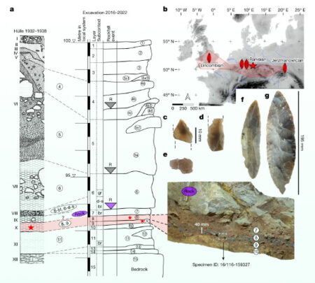 Homo sapiens are believed to have reached Northern Europe around 45,000 years ago, according to scientists. Homo Sapiens Are Believed To Have Reached Northern Europe Around