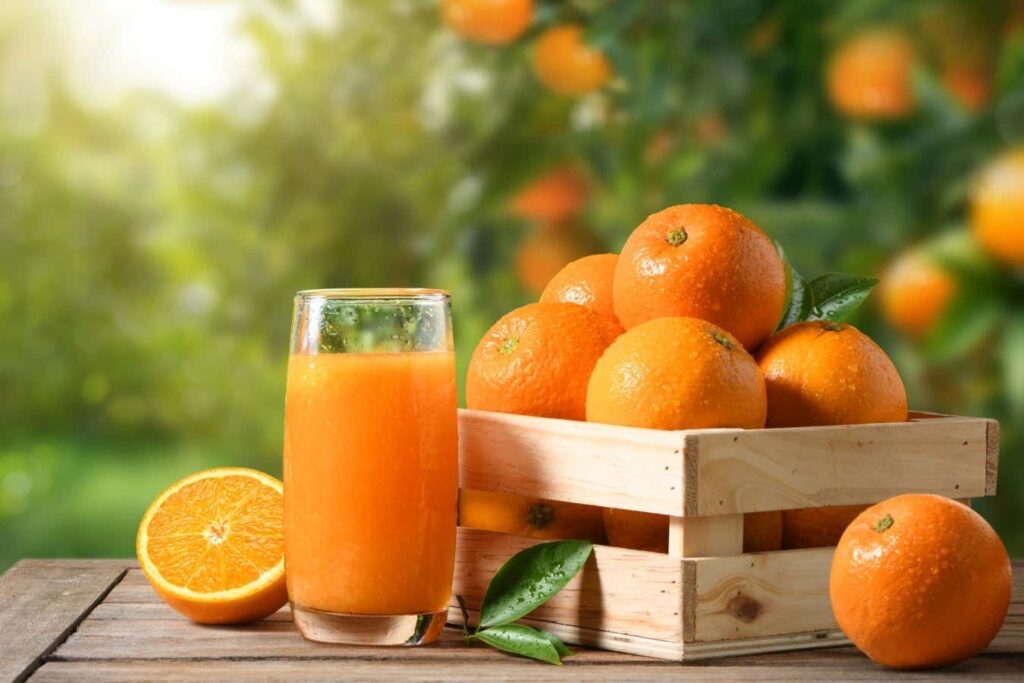 I Discovered The Reason Behind The Distinct Flavor Of Oranges