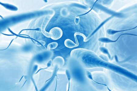 Increased Cancer Risk in Relatives of Men with Infertility Increased Cancer Risk In Relatives Of Men With Infertility