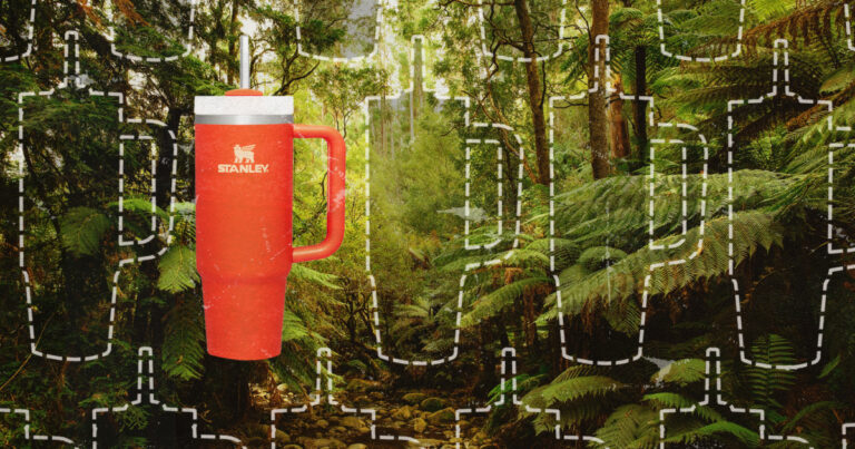 Is Stanley's Craving For Cups Bringing Sustainability Of Stainless Steel
