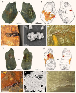 Neanderthals Used Ocher Glue To Make Stone Tools, According To