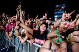 New Research On Zinc Sheds Light On The Link Between