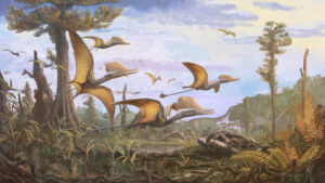 New Species Of Pterosaur Identified By Skye Fossil Discovery