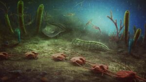 Newly Found Fossil Remains In France Offer Valuable Information On
