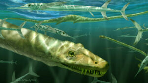 Paleontologists Claim Dinocephalosaurus Was A Fully Aquatic Reptile That Delivered