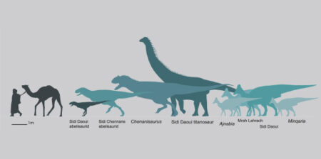 Small duck-billed dinosaur species found in Morocco for the first time Small Duck Billed Dinosaur Species Found In Morocco For The First