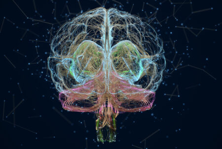 The Age Defying Power Of The New Supercomputer For Your Brain