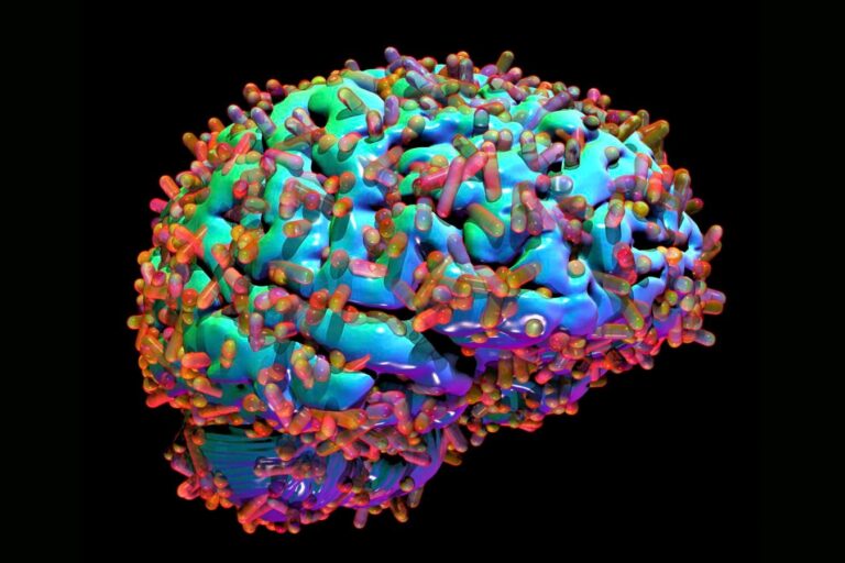 The Crucial Link Between The Brain Microbiome And Curing Alzheimer's