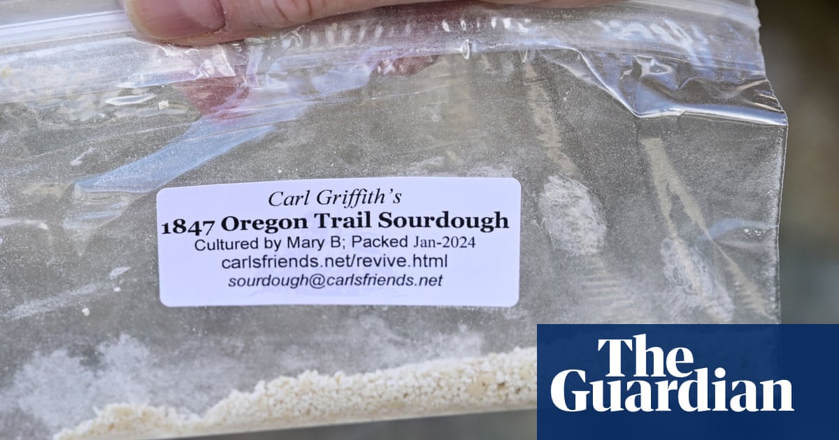 The Impact of a TikTok Clip on the Popularity of a 177-Year-Old Sourdough Starter 1 The Impact Of A Tiktok Clip On The Popularity Of