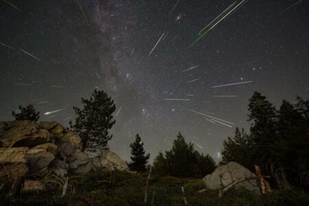 The Significant Role Of Space Dust In The Origins Of