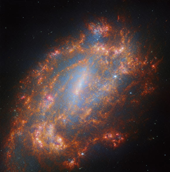Webb unveils stunning new images of NGC 1559 Webb Unveils Stunning New Images Of Ngc 1559