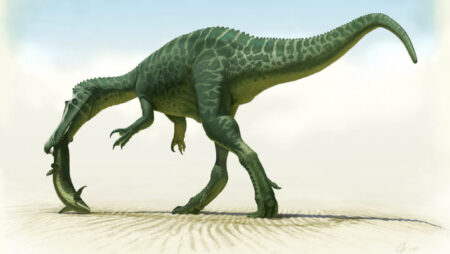A Newly Discovered Spinosaur Dinosaur Species Confirmed In Spain