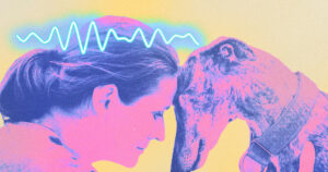 Brain Recordings Reveal That Playing With Dogs Enhances Focus And