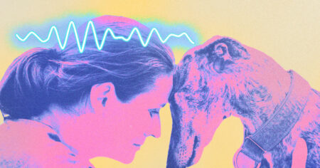 Brain recordings reveal that playing with dogs enhances focus and induces relaxation Brain Recordings Reveal That Playing With Dogs Enhances Focus And