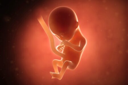Breakthrough in Personalized Medicine: Mini Organs Grown from Fetal Tissue by Scientists Breakthrough In Personalized Medicine: Mini Organs Grown From Fetal Tissue