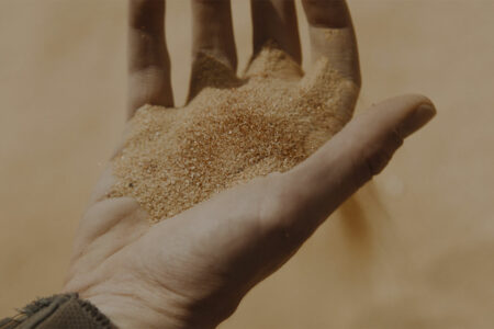 Can We Truly Develop Cognitive Enhancing Drugs With Dune Science?