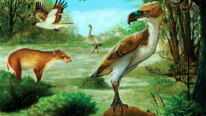During The Eocene, Giant Fearbirds Ruled As The Apex Predators
