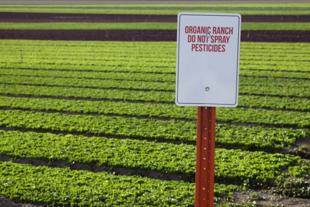 Organic Farms Impact Pesticide Usage On Nearby Conventional Farms