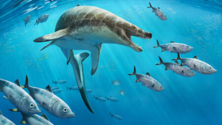 The Interlocking Teeth Of Morocco's New Mosasaurus Species Were Sharp