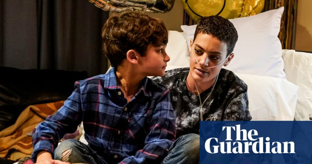 Tiktok Sensation Cat Janis Passes Away At The Age Of