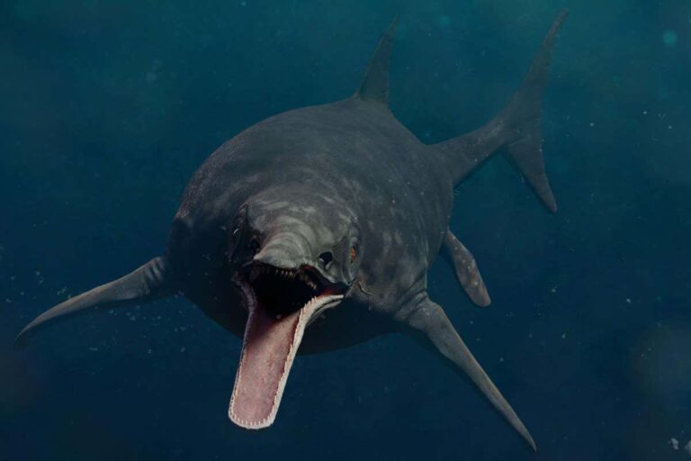 Triassic ichthyosaurs: massive superpredators possibly ranking as the largest animals ever recorded Triassic Ichthyosaurs: Massive Superpredators Possibly Ranking As The Largest Animals