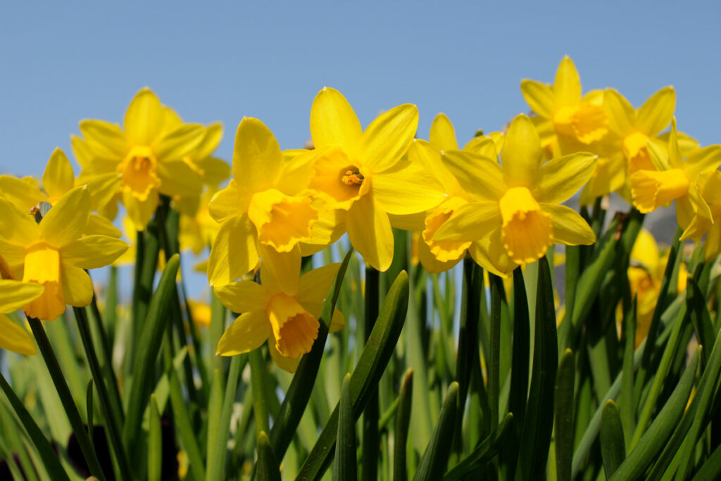 When Is The Vernal Equinox In 2024?