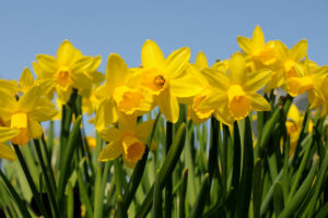 When Is The Vernal Equinox In 2024?