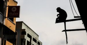 Why Do Our Ancient Animal Ancestors Possess Tails?