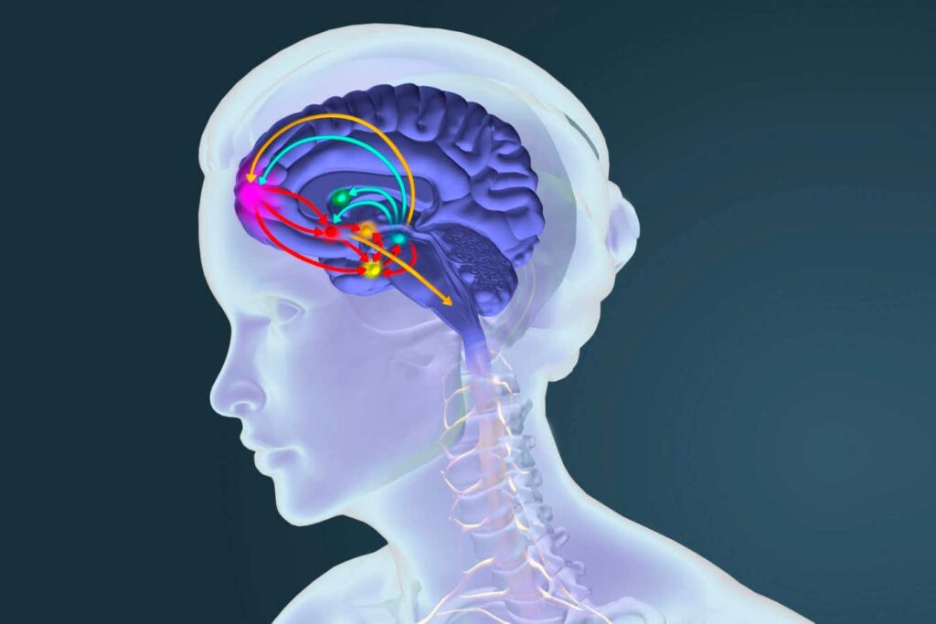 Cocaine seems to exploit brain pathways that prioritize food and water. Cocaine Seems To Exploit Brain Pathways That Prioritize Food And