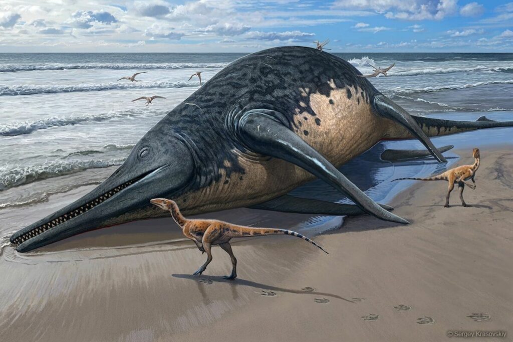 Could The Massive Fish Lizard Be The Largest Marine Reptile