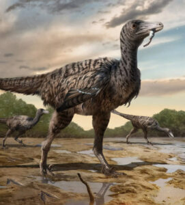Giant Troodontid Dinosaur Footprints Found In China