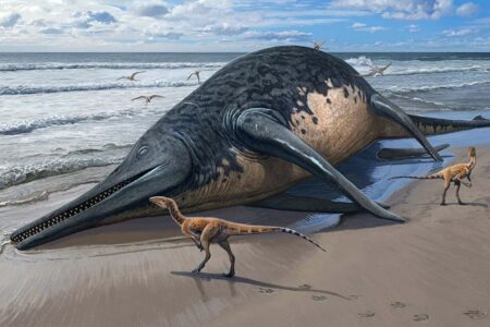 Gigantic Ancient Ichthyosaur Discovered On Uk Coast May Be The