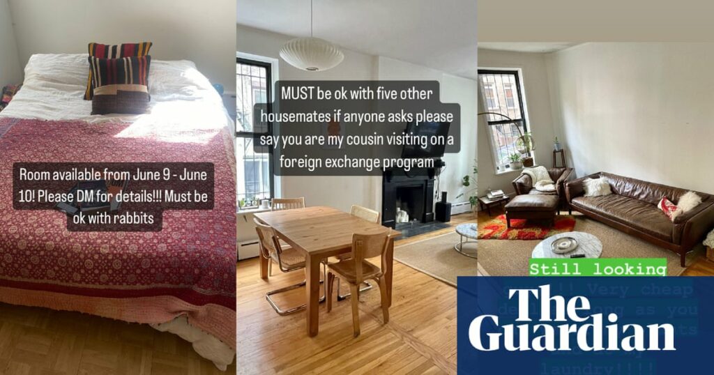 ‘In New York, the battle to resist Airbnb regulation: Balancing love for your dog with dealing with a rude roommate’ 'in New York, The Battle To Resist Airbnb Regulation: Balancing