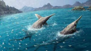 Paleontologists Discover New Species Of Massive Triassic Ichthyosaur