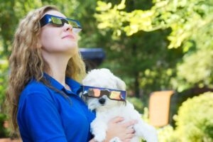 Strange Animal Behavior To Watch For During April's Solar Eclipse