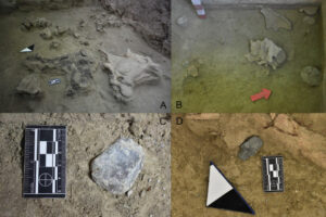 Ancient Settlement Uncovered In Chile Dates Back 12,500 Years