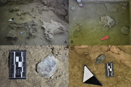 Ancient Settlement Uncovered In Chile Dates Back 12,500 Years