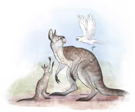 Pleistocene Fossils Uncover Evidence That Hopping Was Common Among Large Species, Not Just Small Kangaroos Incredible Discovery: Giant Short Faced Kangaroo Fossil Unearthed In Australia