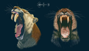 New Research Indicates That Saber Toothed Cats Retained Their Baby Teeth
