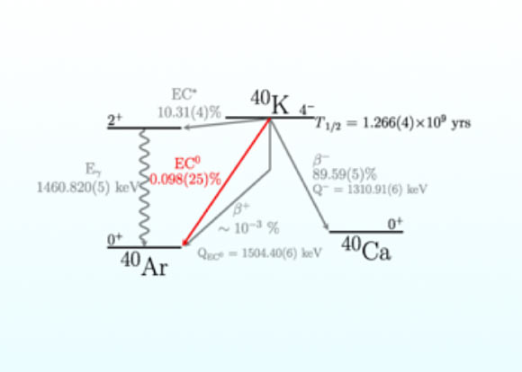 Scientists witness uncommon nuclear decay of potassium isotope Scientists Witness Uncommon Nuclear Decay Of Potassium Isotope