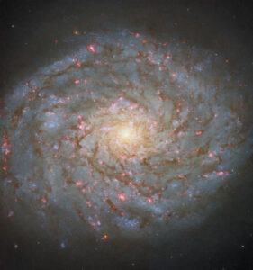 Stunning Images Of Ngc 4689 Captured By Hubble