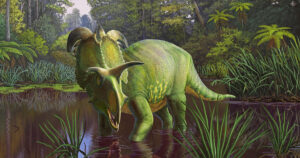 A Massive Horned Dinosaur Discovered In Montana Named After The Norse